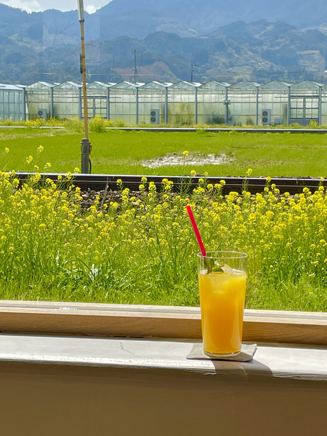 【うきはカフェ】目の前を列車が走る素敵カフェ
