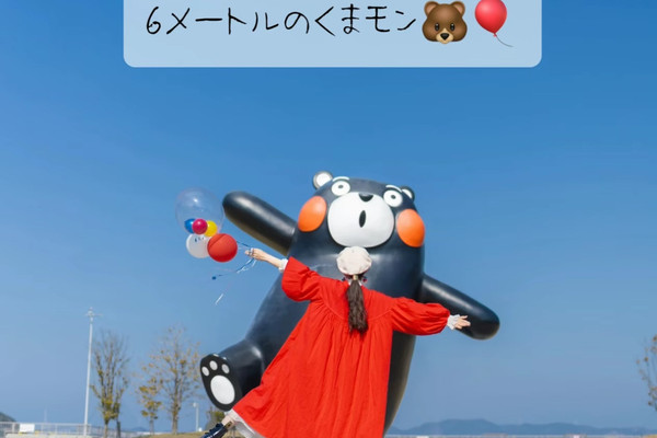 1mi1d224x8udexd95A80E_R_600_40