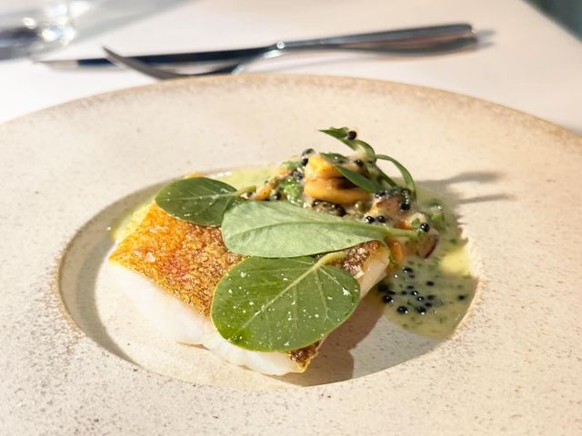 望著悉尼歌劇院食晚飯：Aria Restaurant Sydney❤️