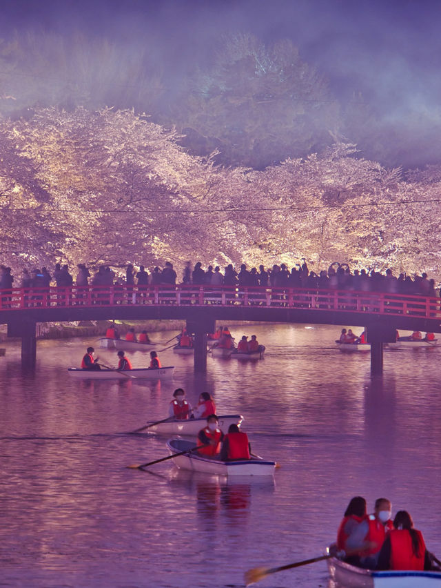 【青森・桜】その美しさ悶絶級🤩「やっば！えぐ！」しか出てこなくなる絶景🌸※アクセス攻略付き