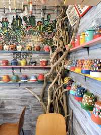【福岡カフェ】多肉植物いっぱいの個性的な店内が可愛すぎる🌵