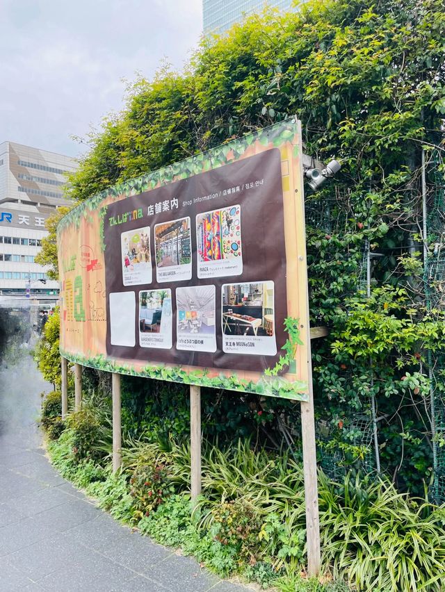 【大阪府】春のてんしばでお花見！