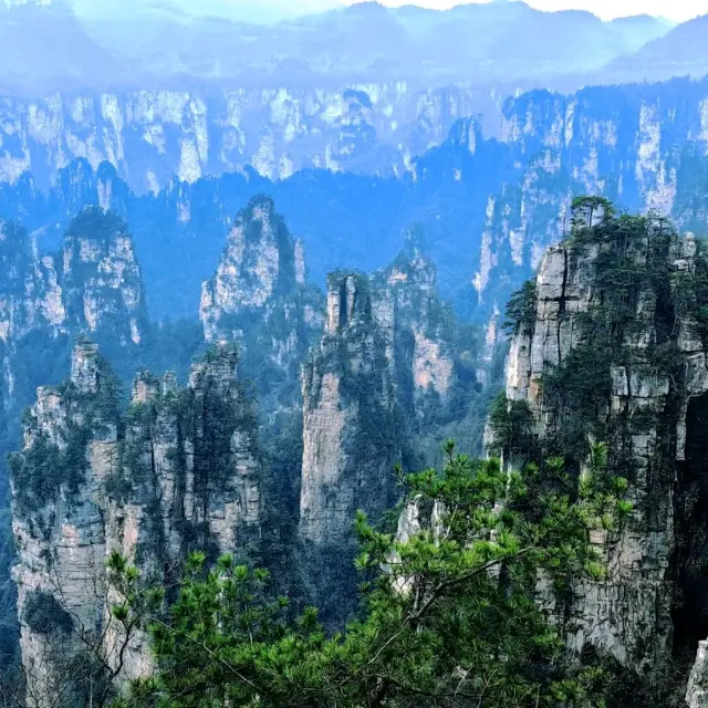 Day Hike at Zhangjiajie National Park