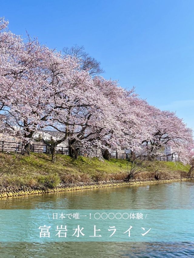 【富山】日本でここだけの体験ができるクルーズ