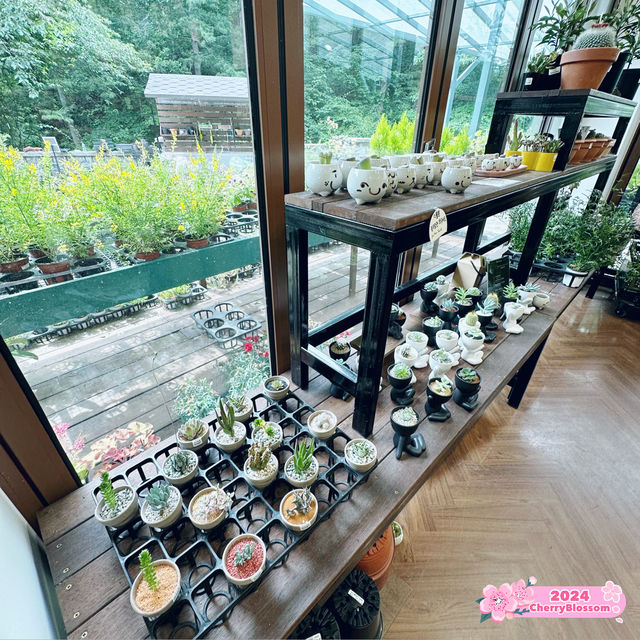 Gardening Shop Cafe @ Garden of Morning Calm🇰🇷