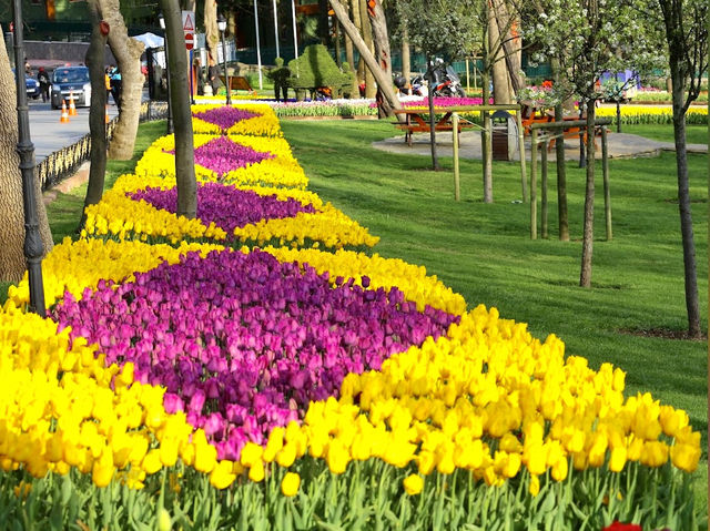 Emirgan Tulip Garden