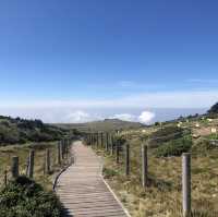 제주도의 휴화산