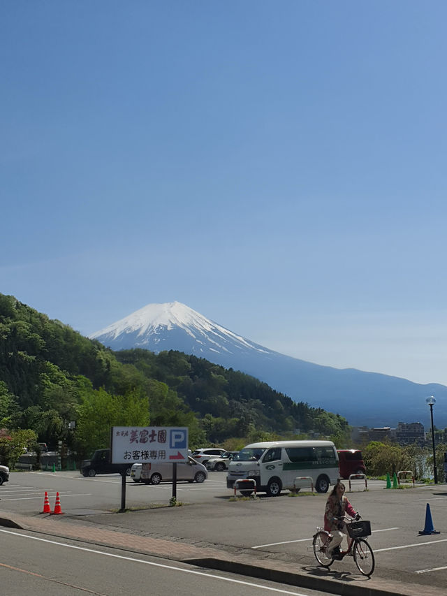 🌸Kawaguchiko🌸Japan🇯🇵