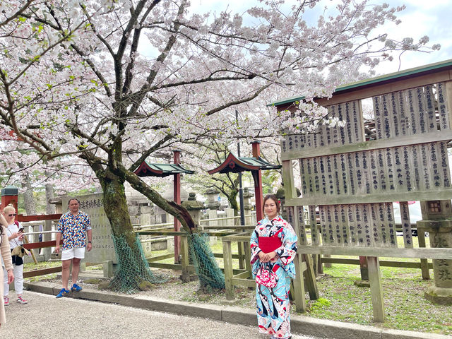 ถ่ายรูปซากุระที่ศาลเจ้า Sumiyoshi Shrine 