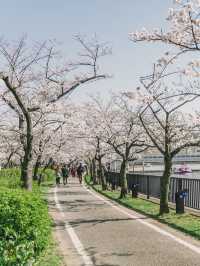 Kema Sakuranomiya Park