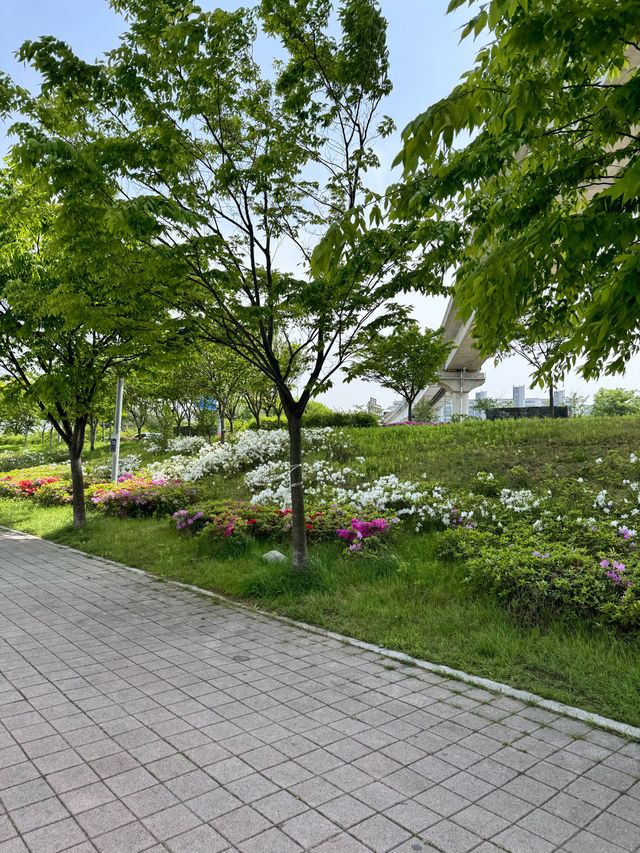 인천 경인아라뱃길에서 한강느낌내기💕