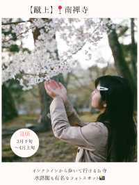 お花見桜スポット🌸【関西編】