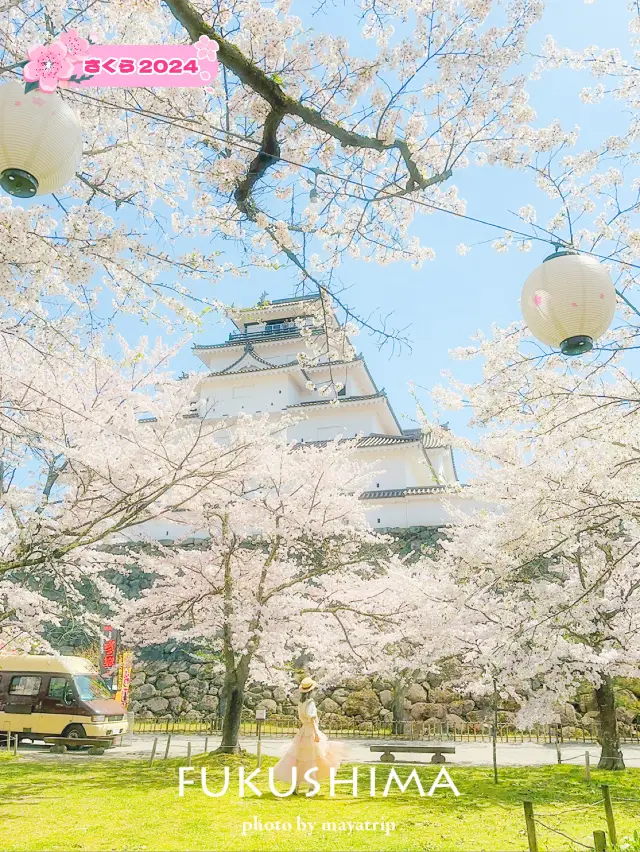  【福島】桜の季節に行ったら城が埋もれていた