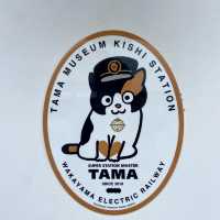 Cute cat train for cat lovers 