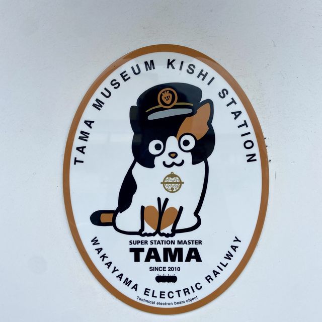 Cute cat train for cat lovers 