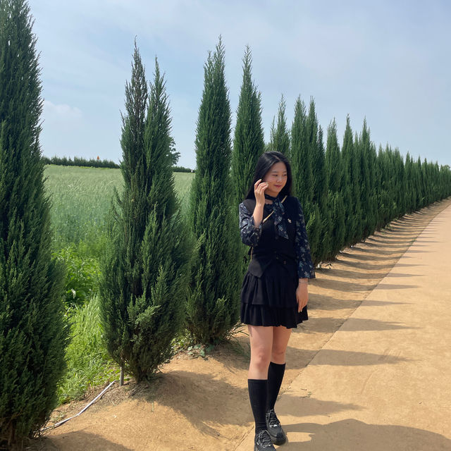 💚5월의 싱그러움과 잘 어울리는 📍안성팜랜드📍로 초대합니다💚