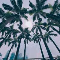 曼谷撒拉公園🏖️城市綠洲