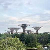 外星人基地： Gardens By the Bay 