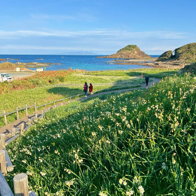 大房岬：絕美海景，悠閒海濱