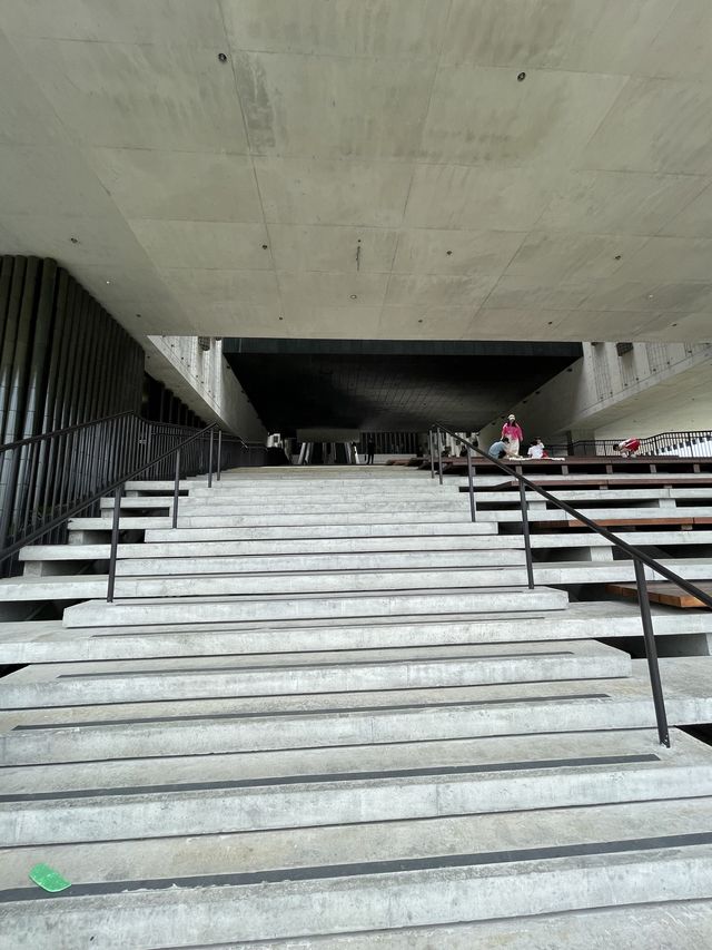 M+博物館探秘指南✨🏛️
