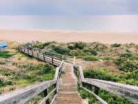 Maslin Beach