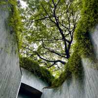 Fort Canning Part @ Singapore