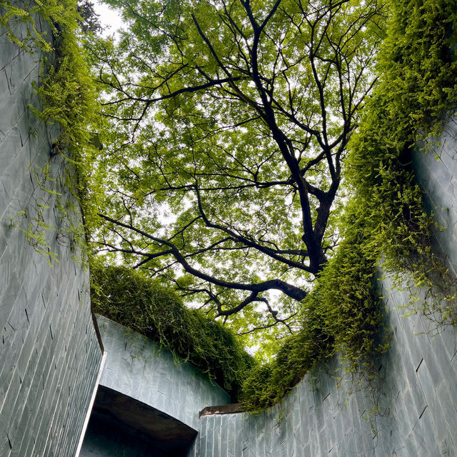 Fort Canning Part @ Singapore