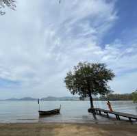 the mangrove by blu monkey 🫶🏻