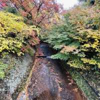 【兵庫】有馬温泉街を探索！