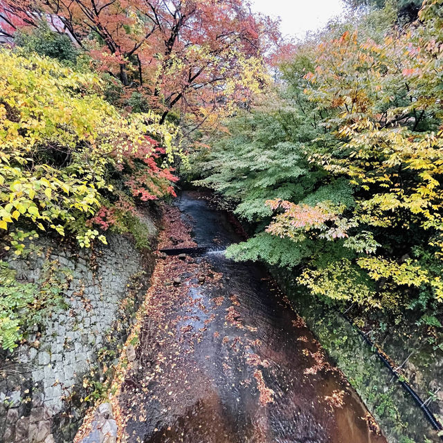 【兵庫】有馬温泉街を探索！