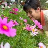thơ mộng bên màu xanh núi đồi