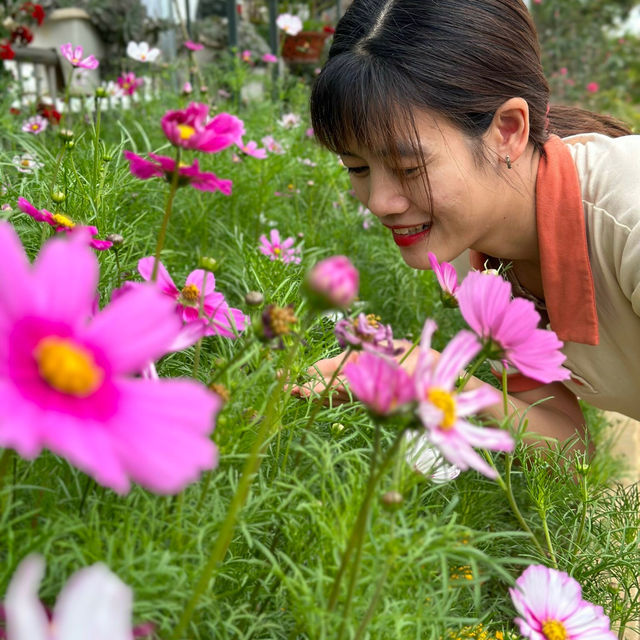 thơ mộng bên màu xanh núi đồi