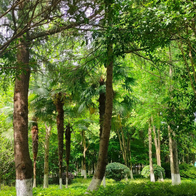 坦洲山公園～享受自然氣息