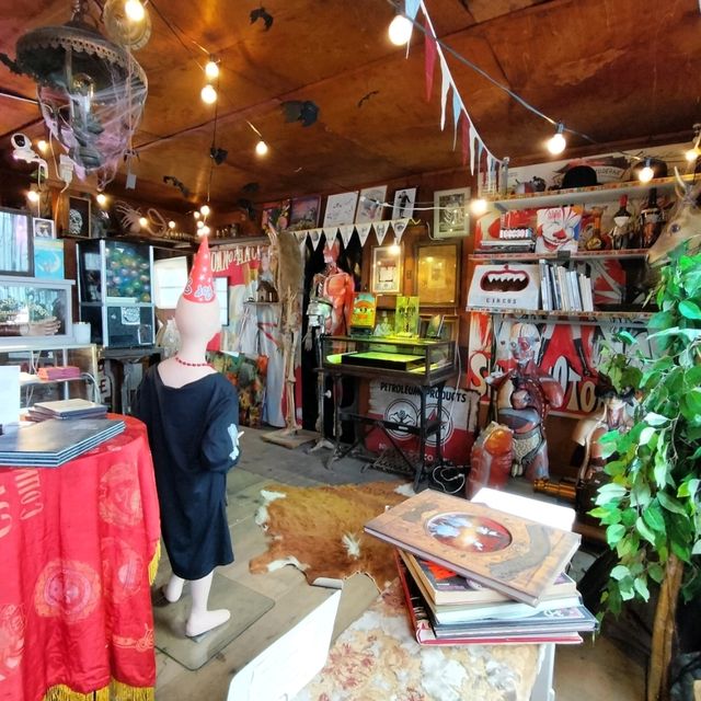 夏旅は京都へ行こう💠オープンしたばかりのサーカスみたいな雑貨屋さん