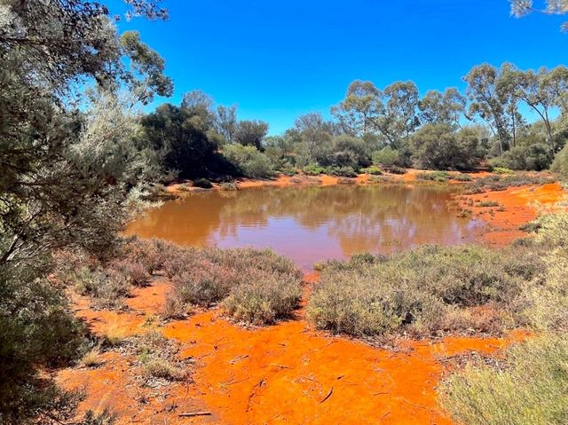 Alice Springs Desert Park