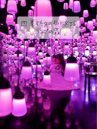 季節ごとに色が変わる💡ランプの森💡
