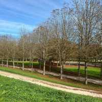 「巴雅英達濕地公園：原始自然～和諧共融」