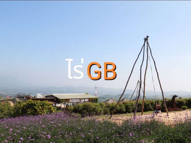เที่ยวชมทุ่งดอกไม้ไร่ GB เข้าค้อ