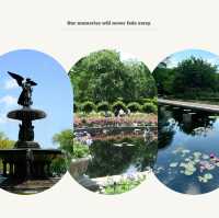 Stonor Park and Gardens - 歷史文化與自然景觀的完美結合