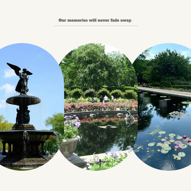 Stonor Park and Gardens - 歷史文化與自然景觀的完美結合