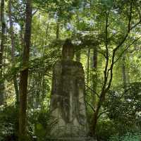 Hangzhou one day trip