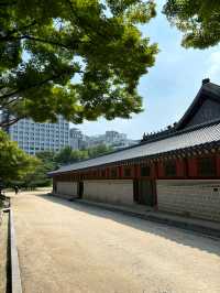 여름에 놀러가기 좋은 대한민국 역사 유적지!