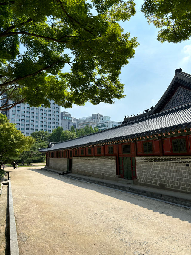 여름에 놀러가기 좋은 대한민국 역사 유적지!