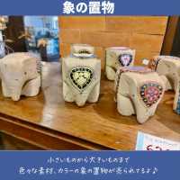 【タイ】絶対買いたい！かわいい雑貨
