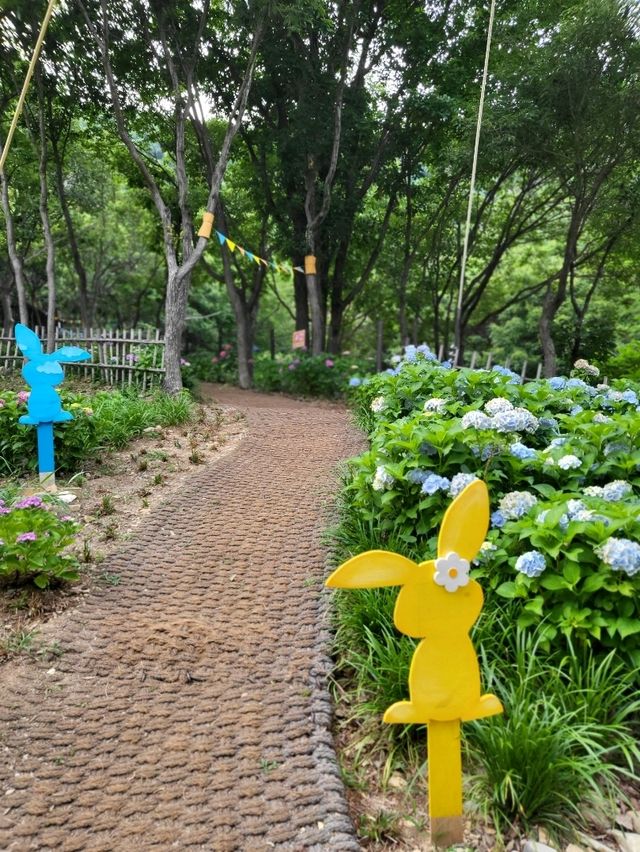 진주에서 가장 많은 수국을 볼수있는곳