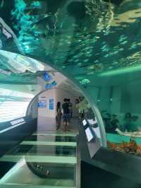 무료로 즐기는 아쿠아리움이 있는 곳🐠