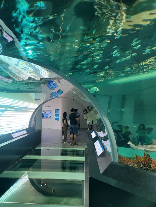 무료로 즐기는 아쿠아리움이 있는 곳🐠