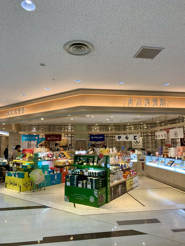 東京　東京観光　成田国際空港はやっぱりデカいぞ！