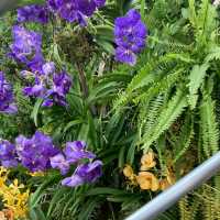 【新加坡景點】濱海灣花園雲霧森林玻璃屋：夢幻迷離的大自然美好，讓你流連忘返