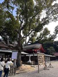 【福岡観光】